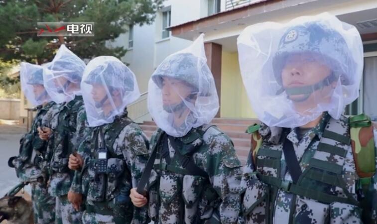 蚊虫成群！官兵头戴白纱踏上军犬都不愿走的巡逻路